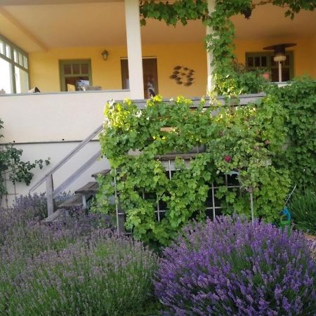 Ferienhaus Schiller Waren  Eksteriør bilde