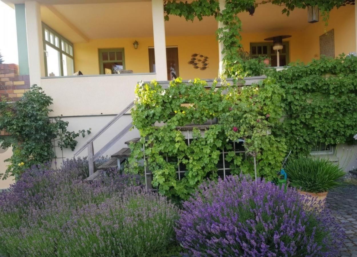 Ferienhaus Schiller Waren  Eksteriør bilde